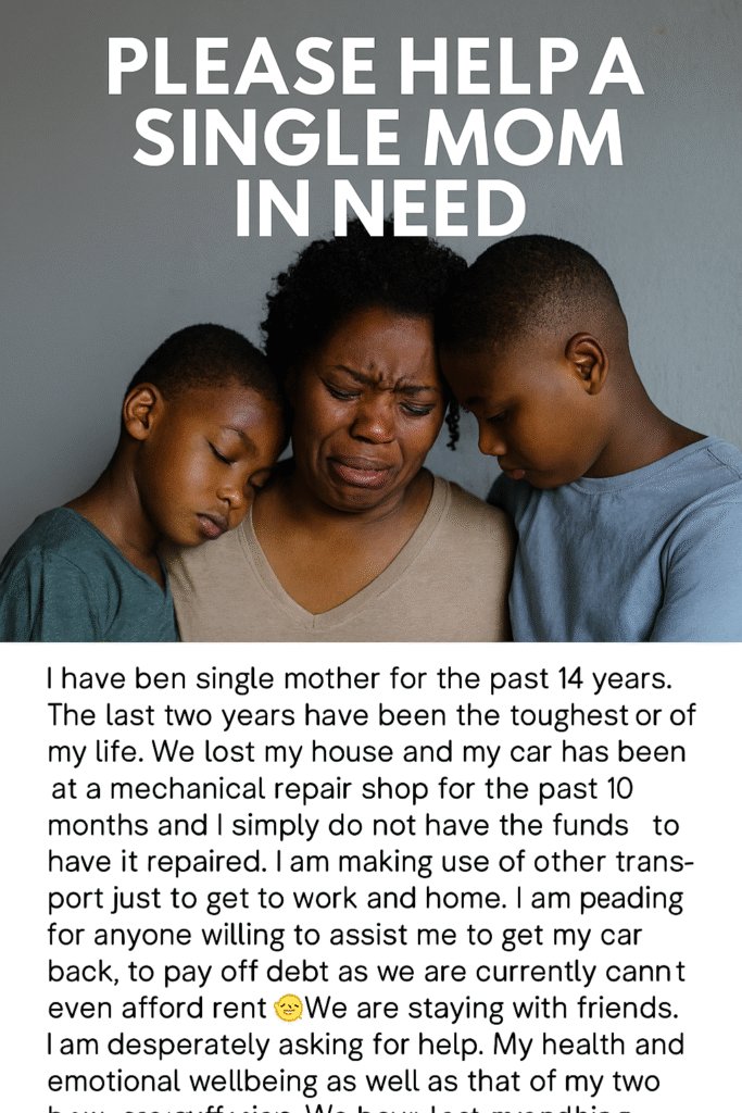 Single mother with two young boys seeking help after losing home and car.