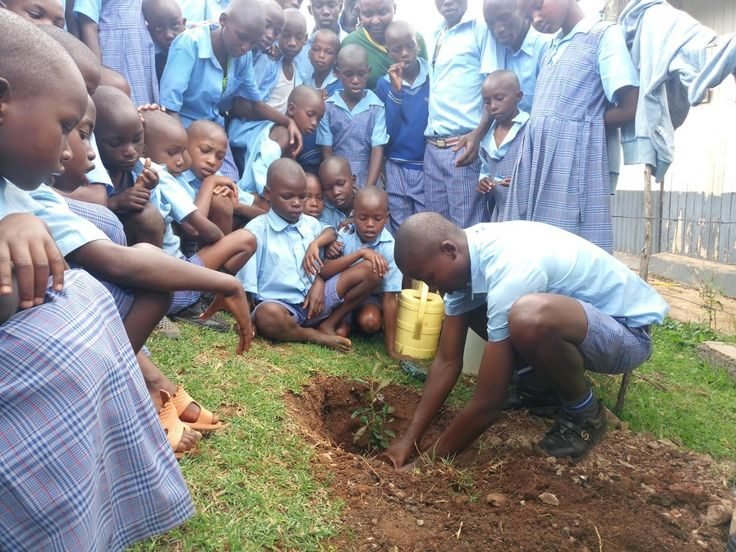 Environmental Fundraiser efforts can improve public health and protect natural resources