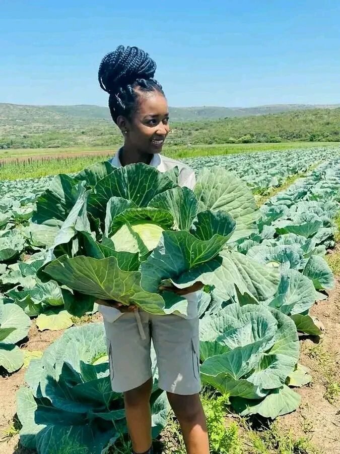 Help grow clean food