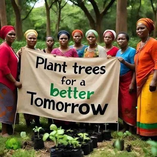 Plant a tree for a better Tomorrow